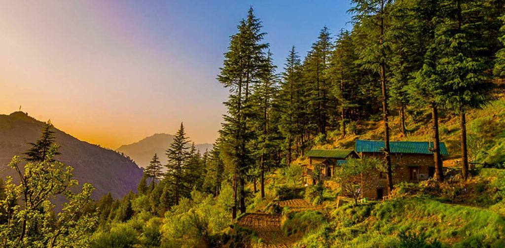 Hire Luxury Tempo Traveller In Delhi 